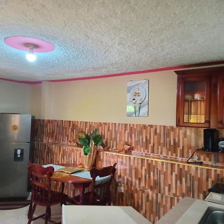 Cindy'S Garden Stay Ocho Rios Kültér fotó
