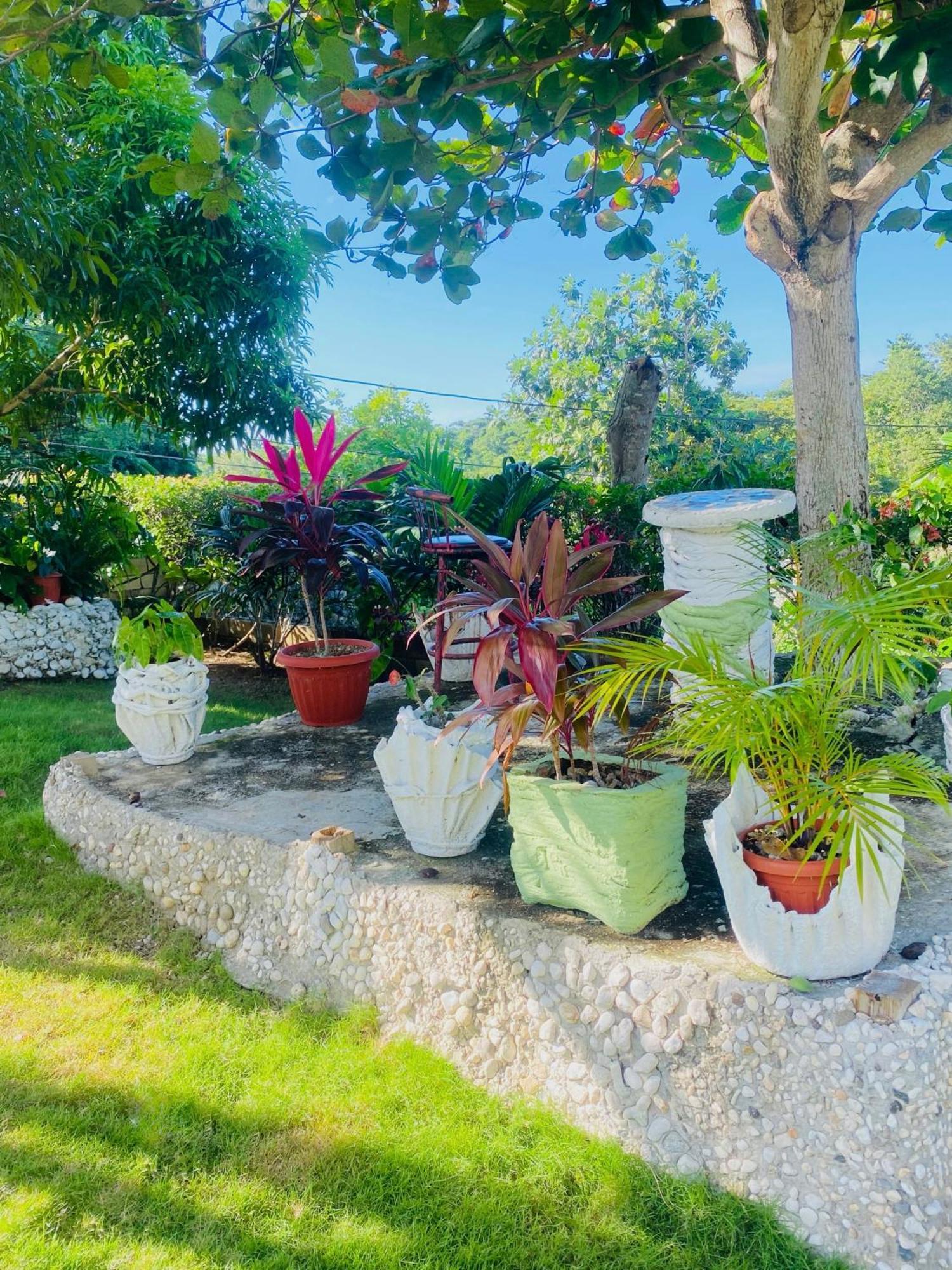 Cindy'S Garden Stay Ocho Rios Kültér fotó