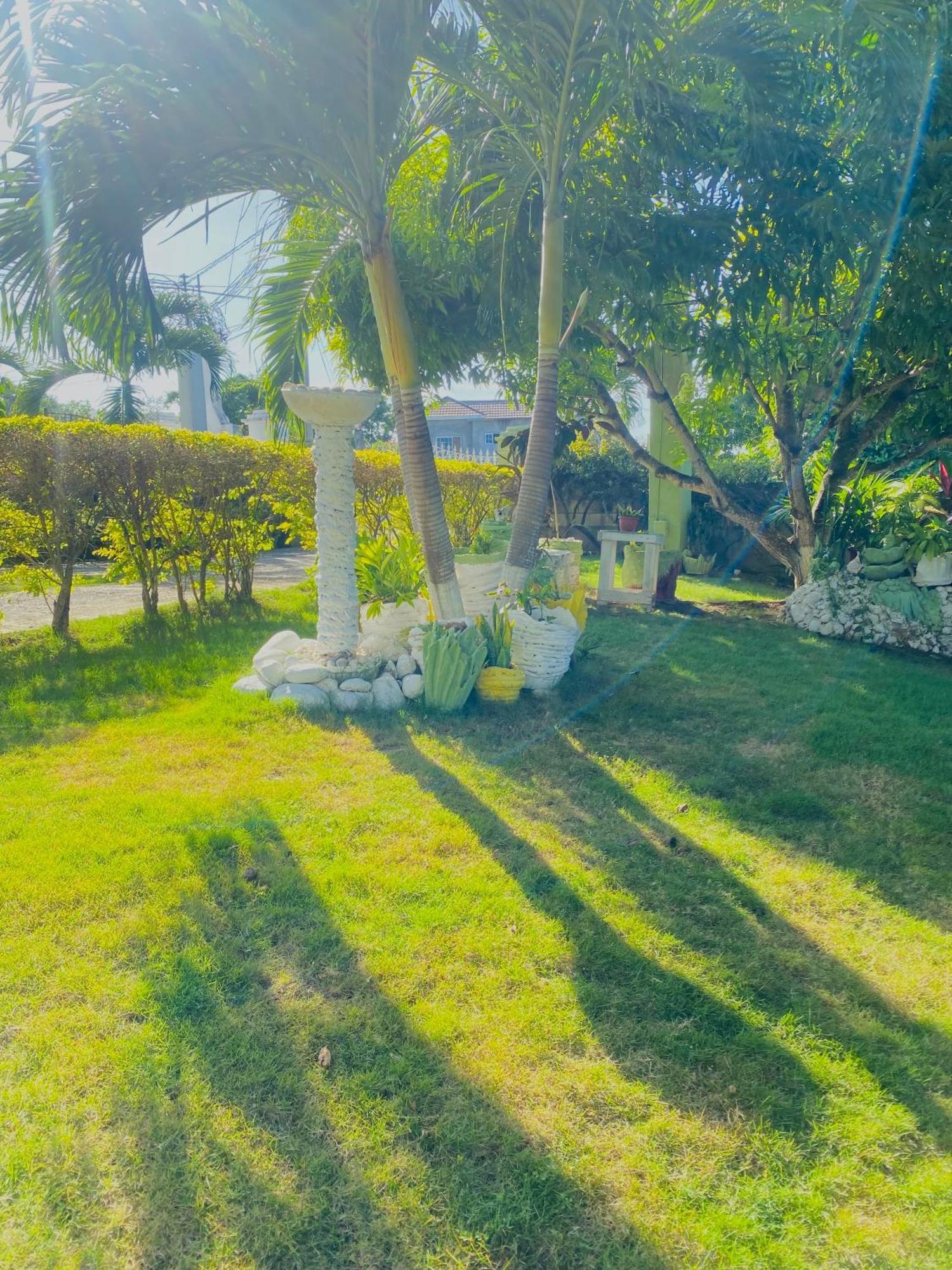Cindy'S Garden Stay Ocho Rios Kültér fotó